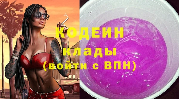 спиды Арсеньев