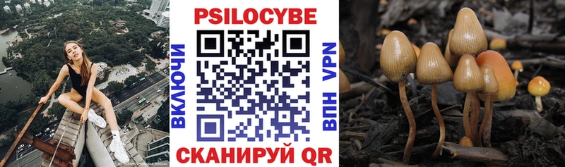 где можно купить   Саров  Галлюциногенные грибы MAGIC MUSHROOMS 